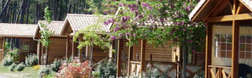 Camping LANDES OCEANES - Chalet Grand Confort 3 bedrooms - Photo 1