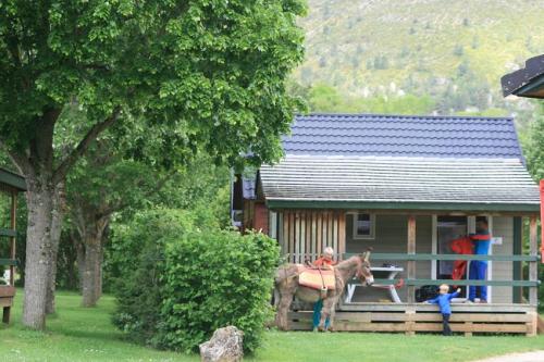 Camping La Cascade - Chalet LAVANDE 1 bedroom - Photo 3