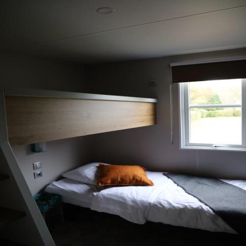 Delftse Hout - Camping Lodge 6 persons - Photo 10