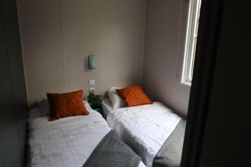 Delftse Hout - Camping Lodge 6 persons - Photo 4