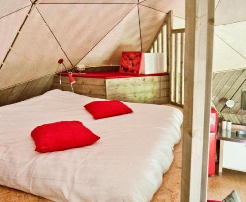 Delftse Hout - Wooden Igloo - Photo 6