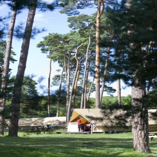 Huttopia Rambouillet - Canadian tent - Photo 5