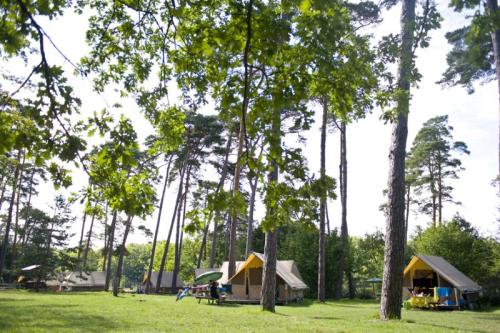 Huttopia Rambouillet - Canadian tent - Photo 7