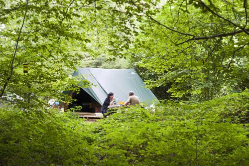 Huttopia Rambouillet - Bonaventure - Photo 1