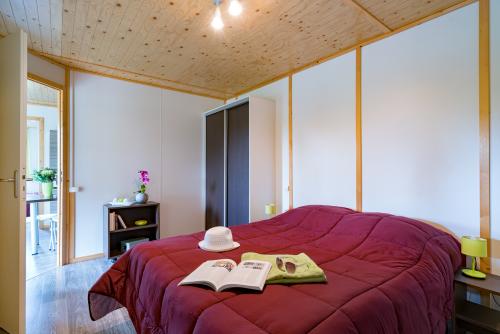 Camping Sandaya Les Peneyrals - Chalet TOPAZE 2 bedrooms *** adapted to the people with reduced mobility - Photo 6
