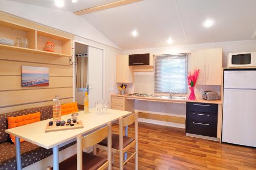 Domaine La Yole Wine resort & Spa - mobile home for people with reduced mobility Confort** - Photo 2