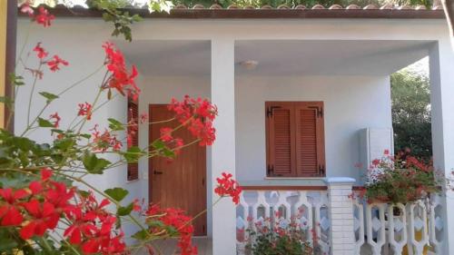 International Camping Torre di Cerrano - Masonry Bungalow - two-roomed - Photo 4