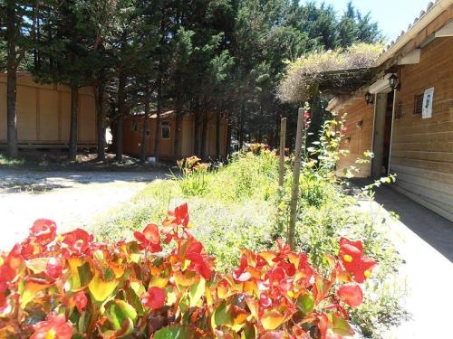 Camping Le Matin Calme - Chalet Confort (2 bedrooms/kitchen/WC shower) - Photo 4
