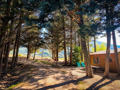 Camping Le Matin Calme - Cabanon provençal without toilet blocks (2 bedrooms/Equipped kitchen) - Photo 3