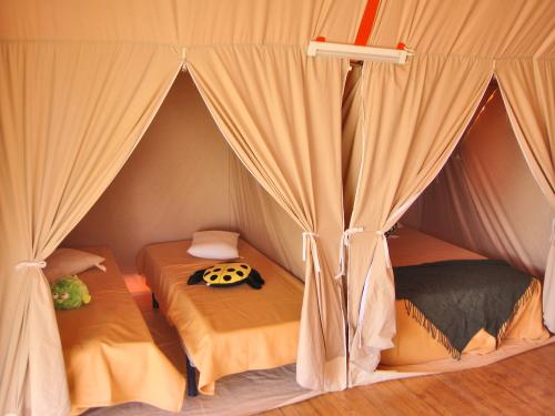 SAGONE RESORT - Canvas bungalow 2 bedrooms - without toilet blocks - Photo 6