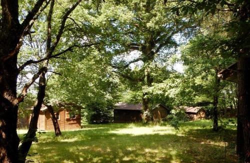 Camping Brin d'Amour - Chalet dream - Photo 8