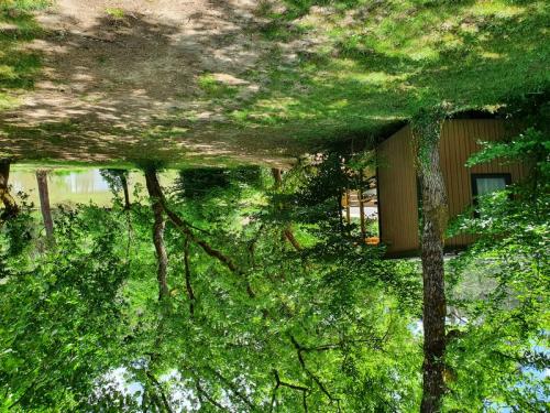 Sites et Paysages Domaine de l'Etang de Bazange - Cottage Premium Lodge Vue etang, TV, clim, terrasse couverte - Photo 2