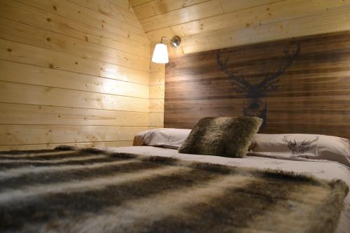 CAMPING VORAPARC - Hut Explorer - Photo 3