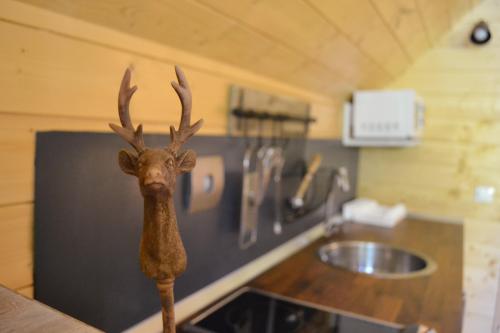 CAMPING VORAPARC - Hut Explorer - Photo 4
