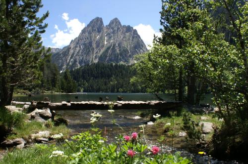 CAMPING VORAPARC - Hut Explorer - Photo 7