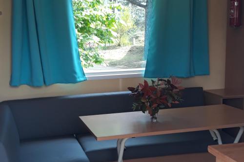 Domaine Camping Les Roches - Mobile-home FAMILY - Photo 2