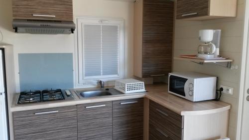 Camping de Vaudois - Mobile home PACIFIQUE - Photo 1