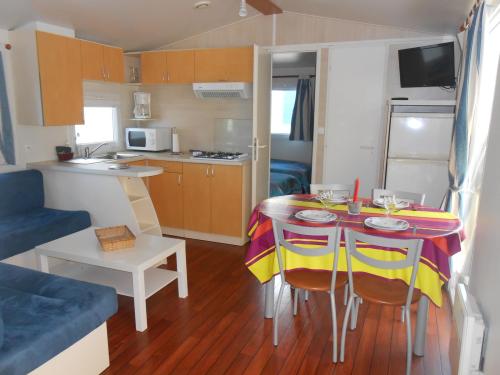 Camping Le Domaine des Floralies - Mobile-home Yucca - Photo 4