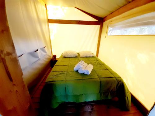 Flower Camping La Venise Verte - Freeflower CONFORT 30m² (2 bedrooms) + sheltered terrace 8m² - No Bathroom - Photo 4