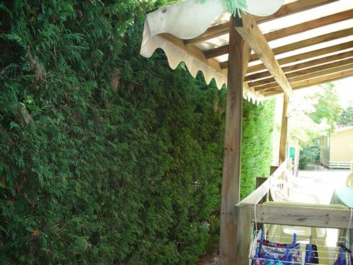 Camping Lou Cabasson - Mobilhome le Pellegrin - sheltered terrace 10m² (Max 2 adults) - Photo 5