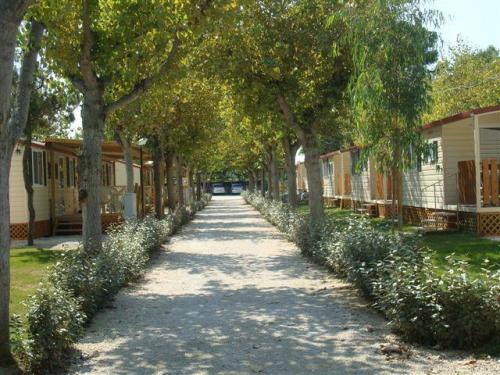 Eurcamping Roseto - Mobilhome Sauvignon Blanc 2 bedrooms + TV + A/C - Photo 6