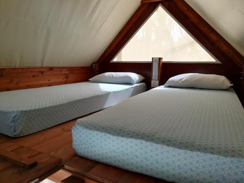 Eurcamping Roseto - Mini Lodge Lagrein Plus, private garden - Photo 9