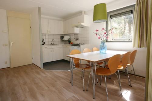 RCN Vakantiepark de Jagerstee - Bungalow het Edelhert - Photo 2