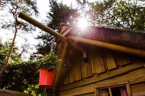 RCN Vakantiepark de Jagerstee - Hunters cabin - Photo 3
