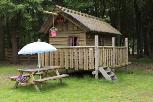 RCN Vakantiepark de Jagerstee - Hunters cabin - Photo 4