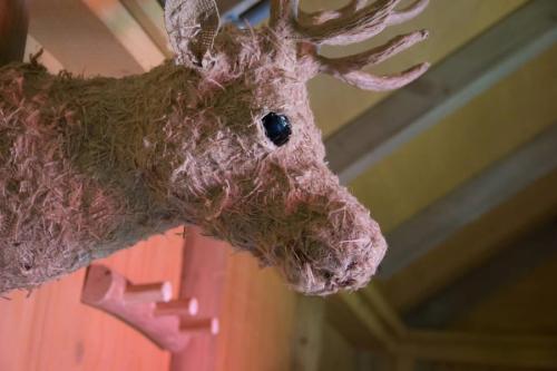 RCN Vakantiepark de Jagerstee - Hunters cabin - Photo 7