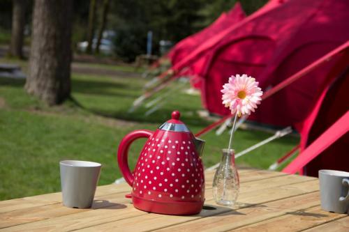 RCN Vakantiepark de Jagerstee - Glamping tent 'de Egel' - Photo 3