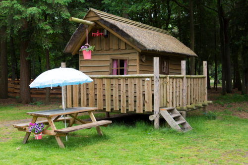 RCN Vakantiepark de Noordster - Trekkershut de Dwergster - Photo 3