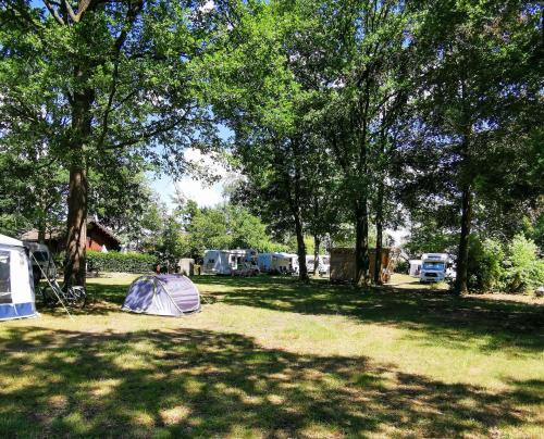 Camping De Schuur - private sanitary - Photo 3