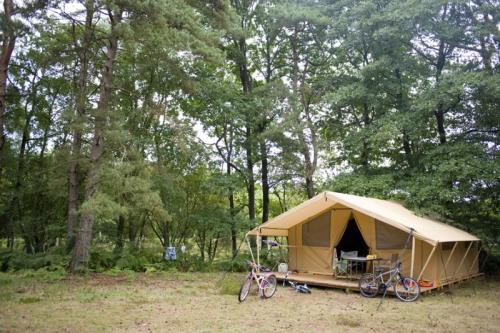 Huttopia Lac de Sillé - Classic V Wood & Canvas tent - Photo 5