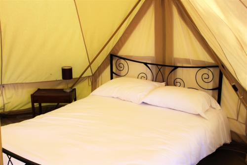 Les Castels Le Brévedent - Lodge tent - Photo 5