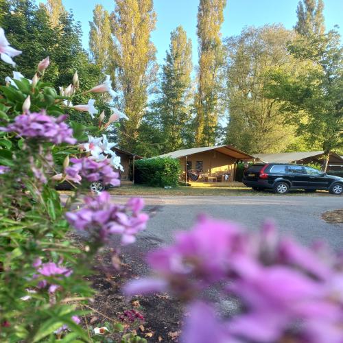 Camping Seasonova Vesoul - KENYA TENT 2 rooms 5 persons - Photo 2