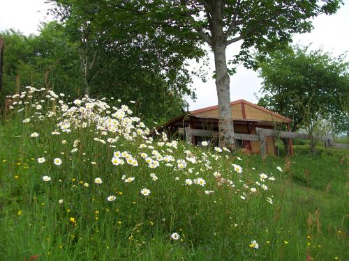 Camping LA FOUGERAIE - Chalet 4 saisons - Photo 1