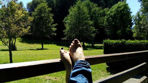 Camping Le Paluet - Chalet Confort - 40 m² - Photo 5