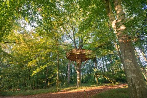 Château des Tilleuls - Wooden cabin L'Ecureuil - Photo 1