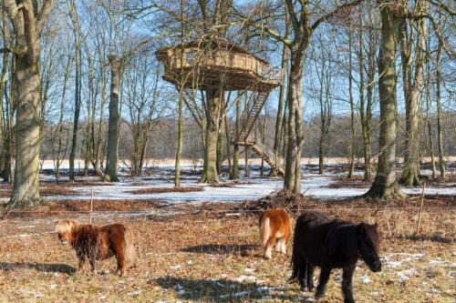 Château des Tilleuls - Wooden cabin L'Ecureuil - Photo 10