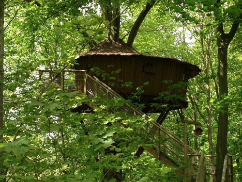 Château des Tilleuls - Wooden cabin L'Ecureuil - Photo 2