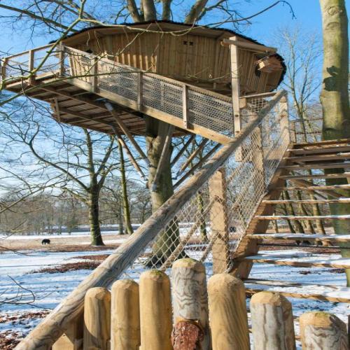 Château des Tilleuls - Wooden cabin L'Ecureuil - Photo 9