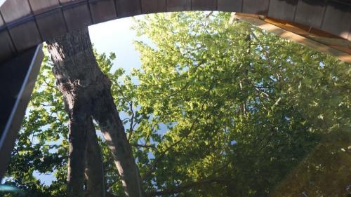 La Sorguette*** - Natur's Lodge - Photo 2