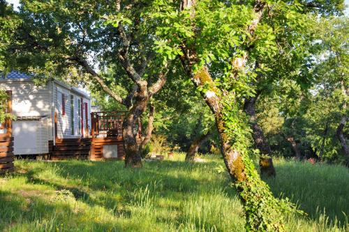 Camping L'Ombrage - Mobile Home PREMIUM AIRCON S (30m², 2 bedrooms +covered Terrace) - Photo 6