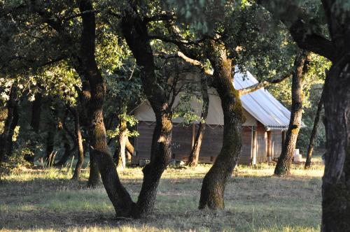 Camping L'Ombrage - Teepee - 2 bedrooms - without toilet blocks (arrival on SUNDAY in high season) - Photo 3