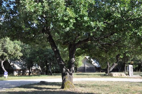 Camping L'Ombrage - Teepee - 2 bedrooms - without toilet blocks (arrival on SUNDAY in high season) - Photo 6