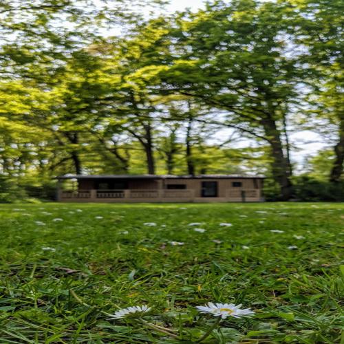 Camping De Vinkenkamp - Chalet - Photo 3