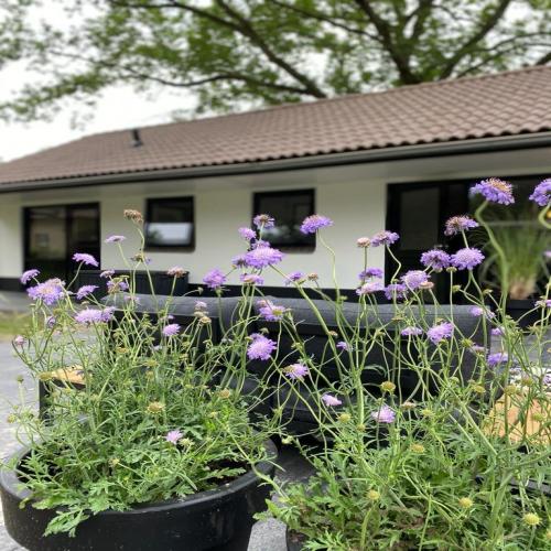 Camping De Vinkenkamp - Bungalow - Photo 1