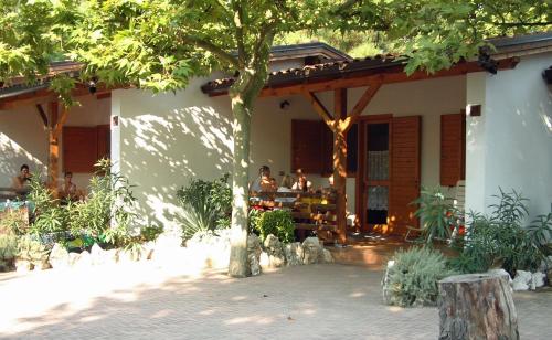 Tahiti Camping & Thermae Bungalow Park - Bungalow 'Mimosa' - 32m² - 2 bedrooms - Photo 1