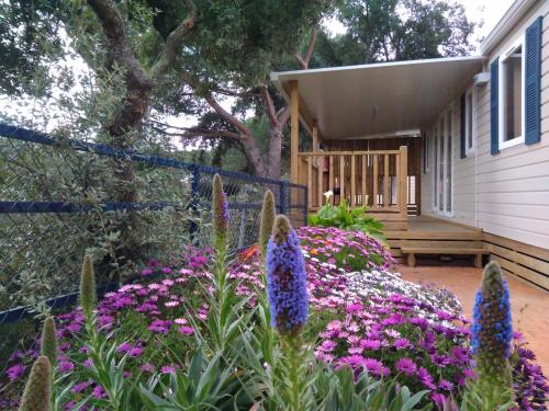 Camping Roca Grossa - Mobil Home 6pax - Photo 1